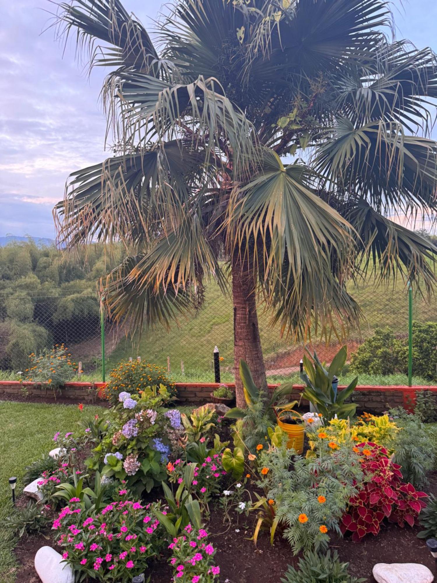 Finca La Gaviota Montenegro Εξωτερικό φωτογραφία